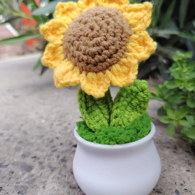 Girasol en macetero