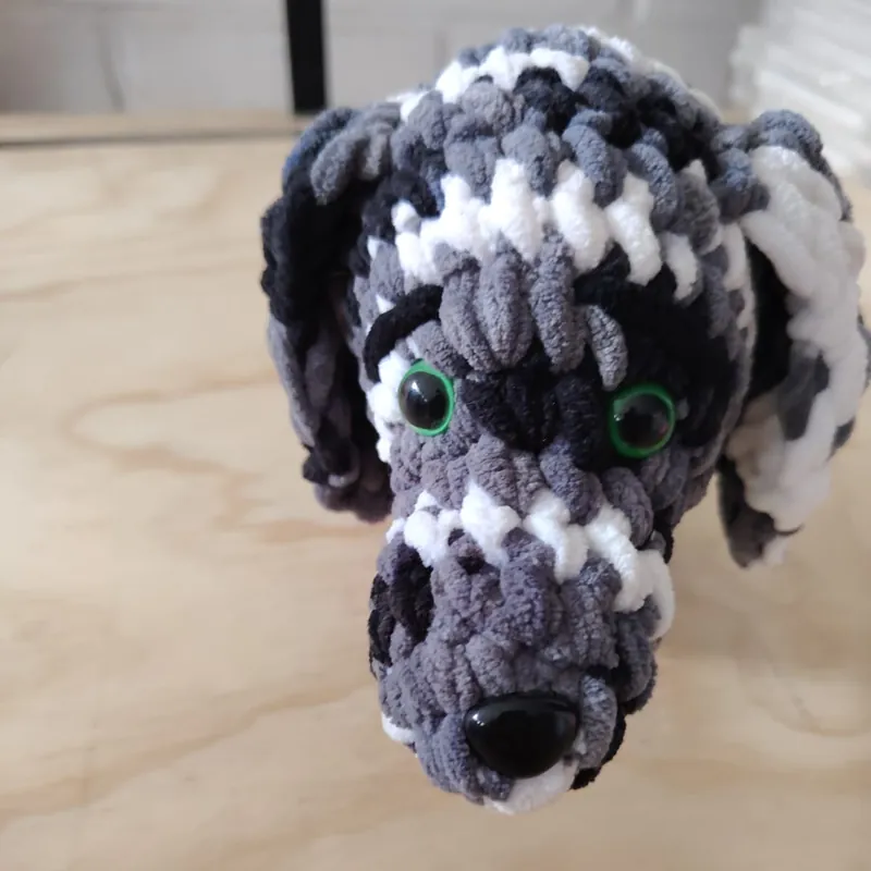 Perrito gris manchado