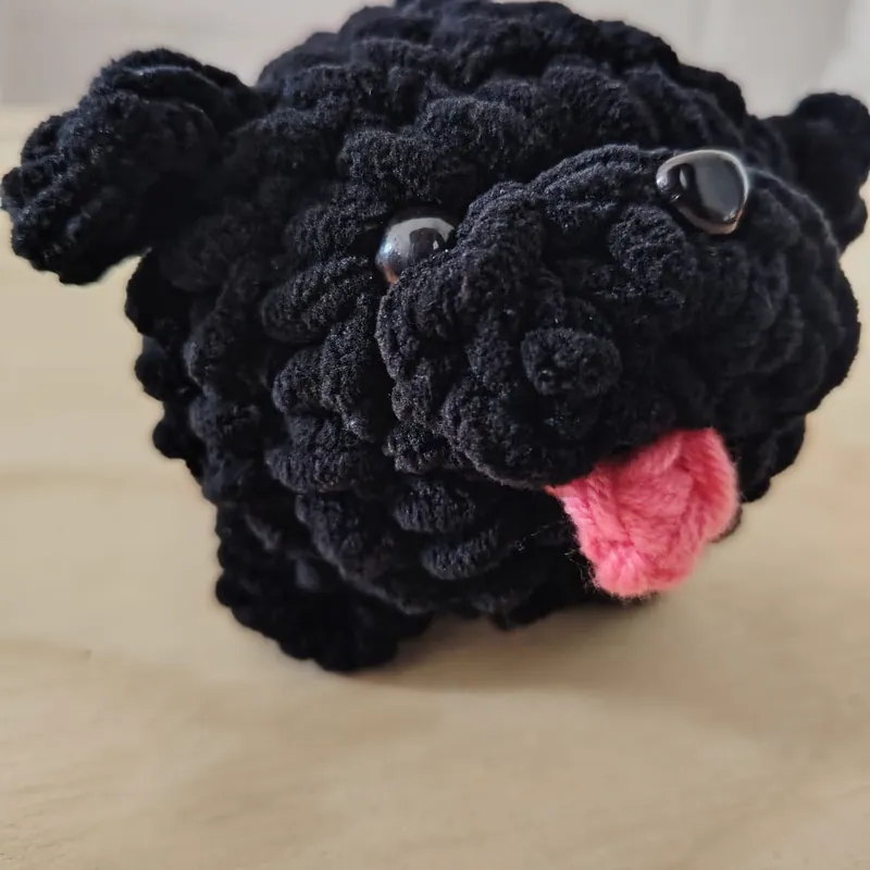 Pug negro