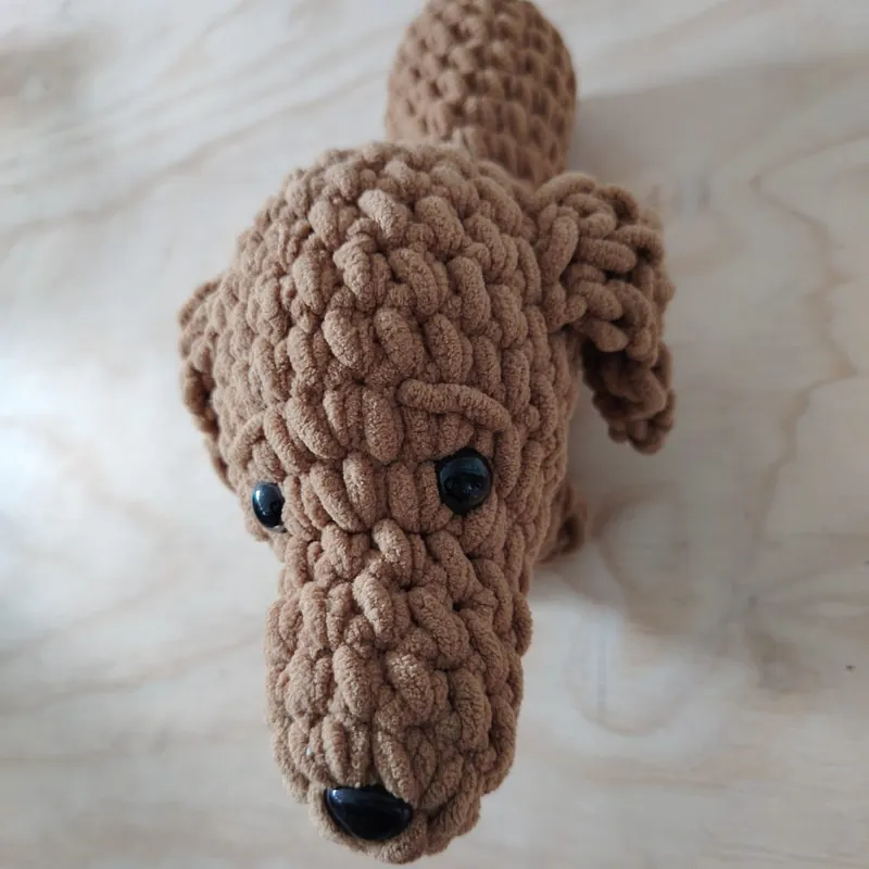 Perrito salchicha café