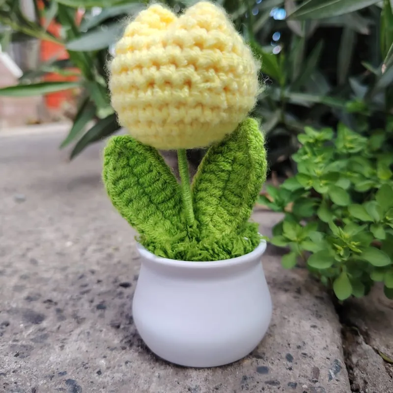 Tulipán amarillo en macetero