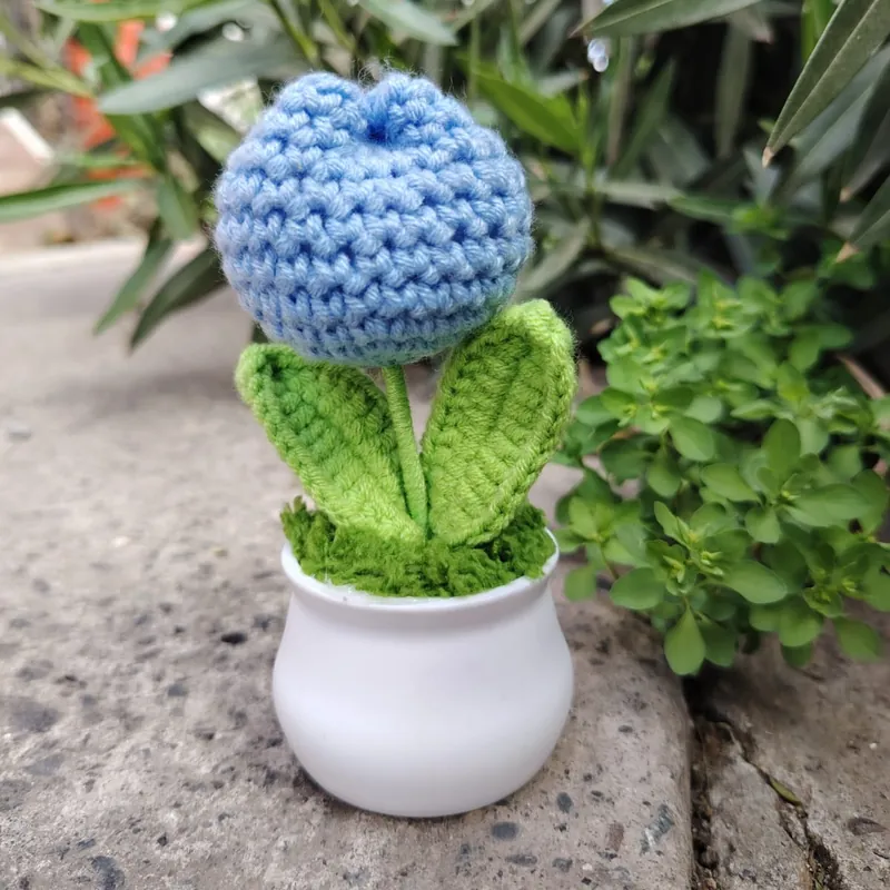 Tulipán azul en macetero