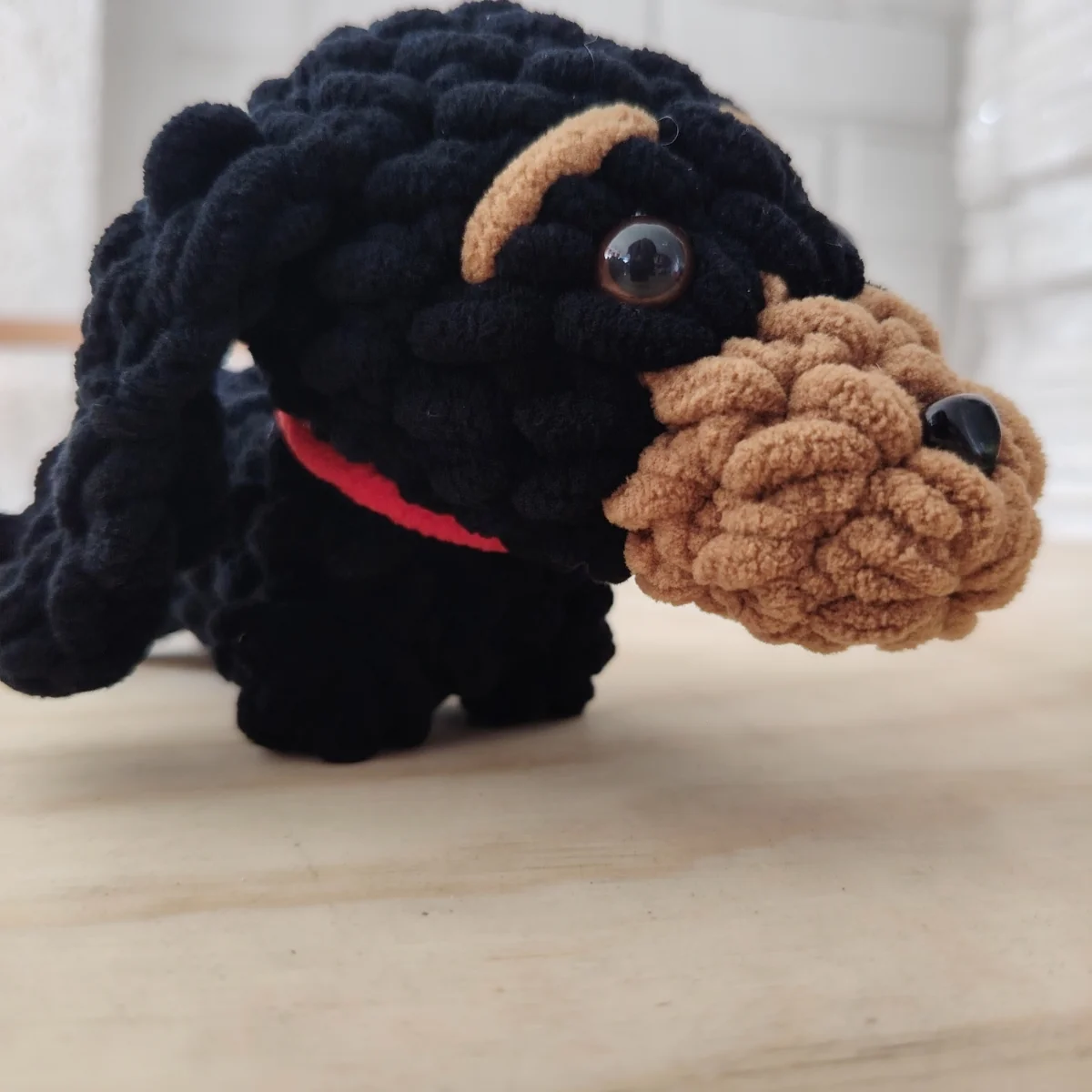 Perrito mini salchicha negro con café.